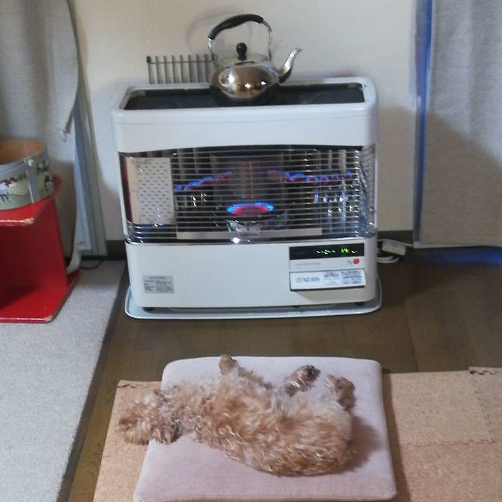 B7baca14 b7cf 4f97 8d72 9ac3ab2f6f56 1549835417813