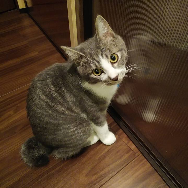 B7bacb65 83a5 4942 a594 3dec9930ef61 1573567678751