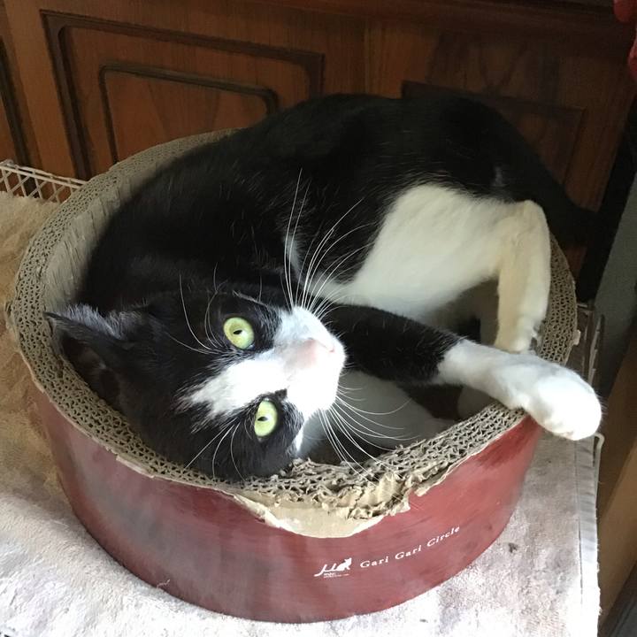 B7baebba 7be2 4ca6 8dc9 6a37cc58cd83 1746005953285