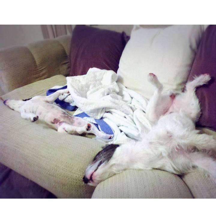 B7bb200b b325 473e 837d 4ac1809feebd 1693092354987