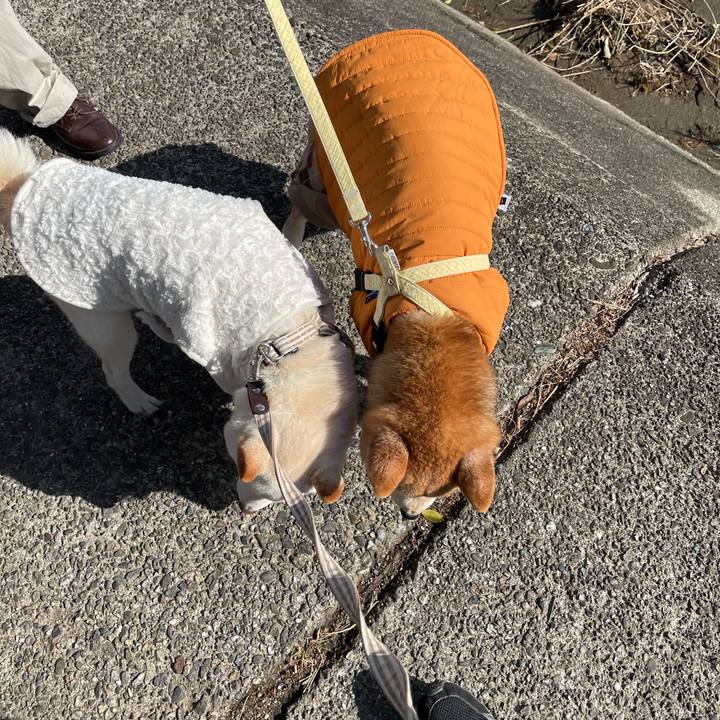 B7bb60ba 8a8e 42c9 a02f 441a432994be 1645364552028