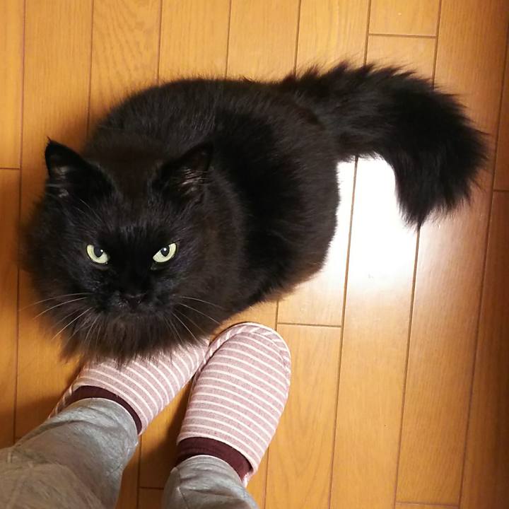 B7bb6eac 1935 4242 905d bccd37d36052 1544971420568