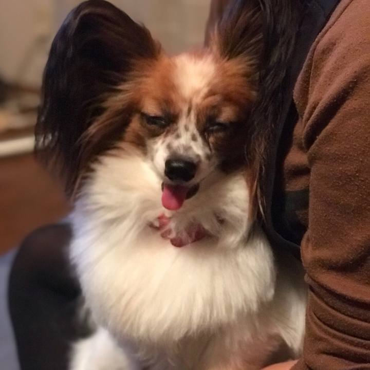 B7bb9df6 ef3a 488b 8a12 5484808c0e0f 1540328232965