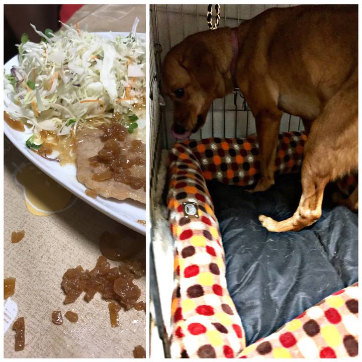 B7bbfd96 f6e0 4916 be4f 21eac5005519 1538489060678