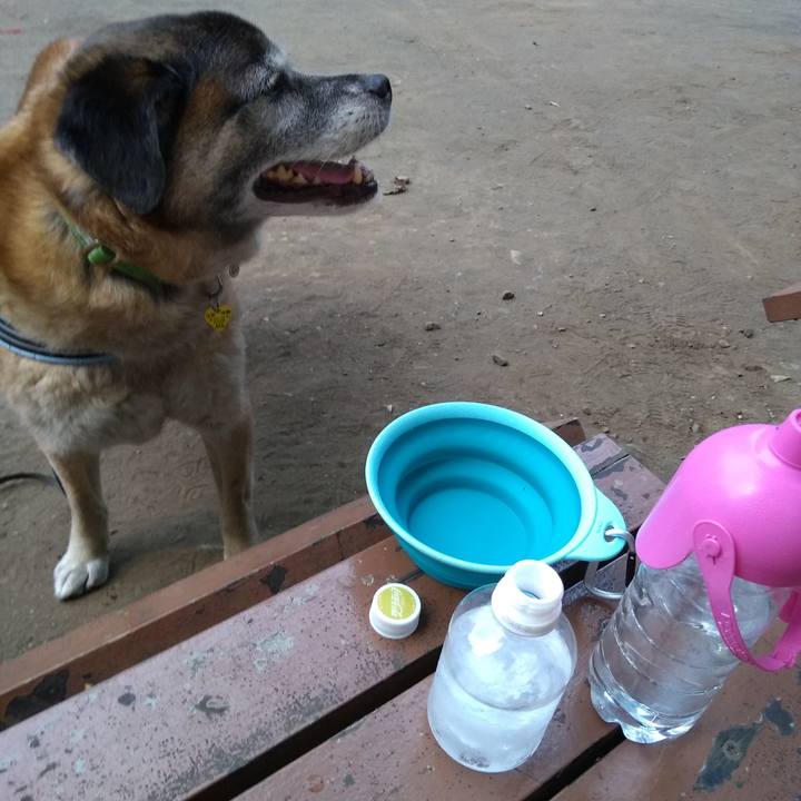 B7bc3c7b e36a 49b0 8cf0 6217d5016a33 1559817571302