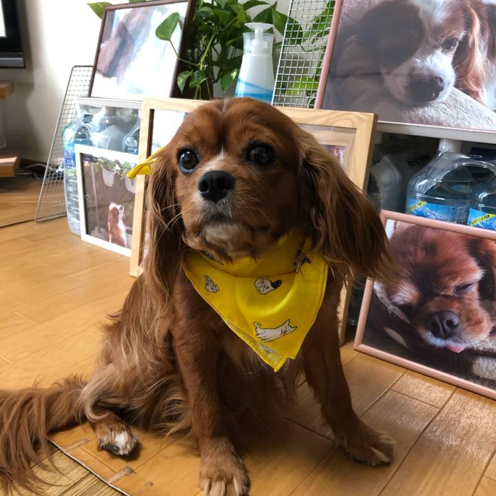 B7bc577d 30ee 40c5 b2a7 82dfb9226169 1591307261956