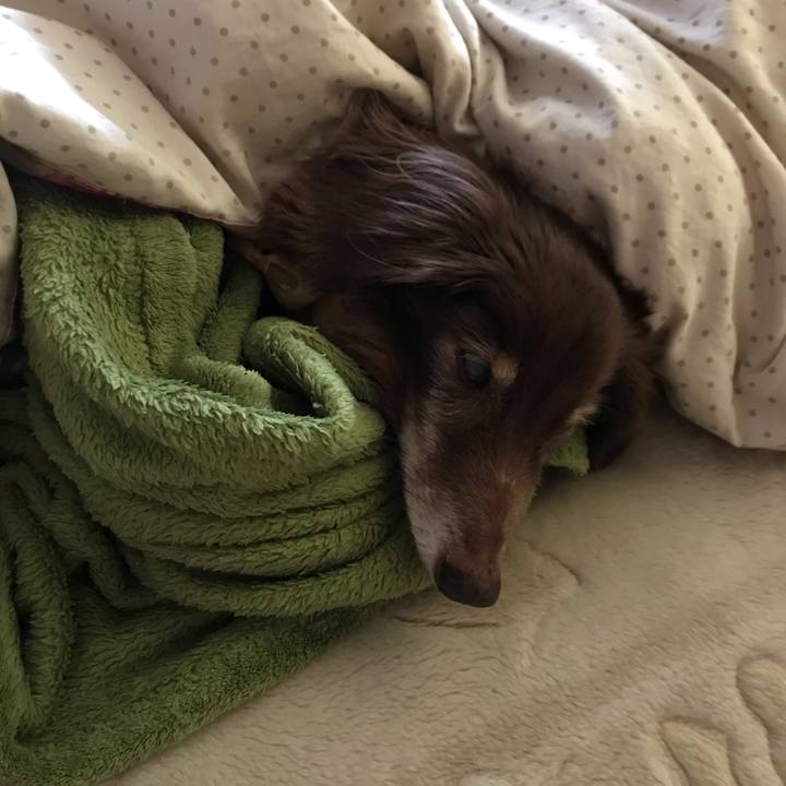 B7bc8919 315b 4b55 bc98 370e7e1ad65d 1585699997756