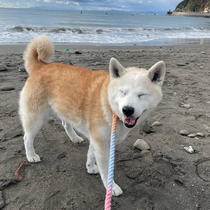 B7bcc7ff 8e12 458f ae6c 66b5410e5454 1640948081827