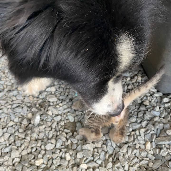 B7bcd258 ef20 4082 84c8 eb8781d5502c 1596500242477