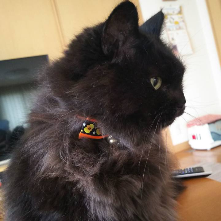 B7bcd754 9667 455d 9066 02b6c1db8536 1568434898307