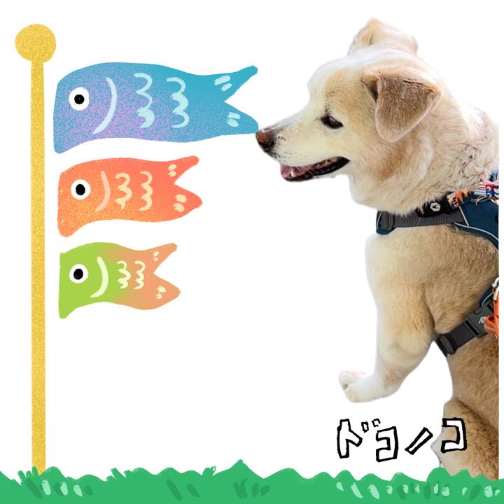 B7bd0ac1 cba4 45a1 b24c 830922f2eb5c 1714900495701