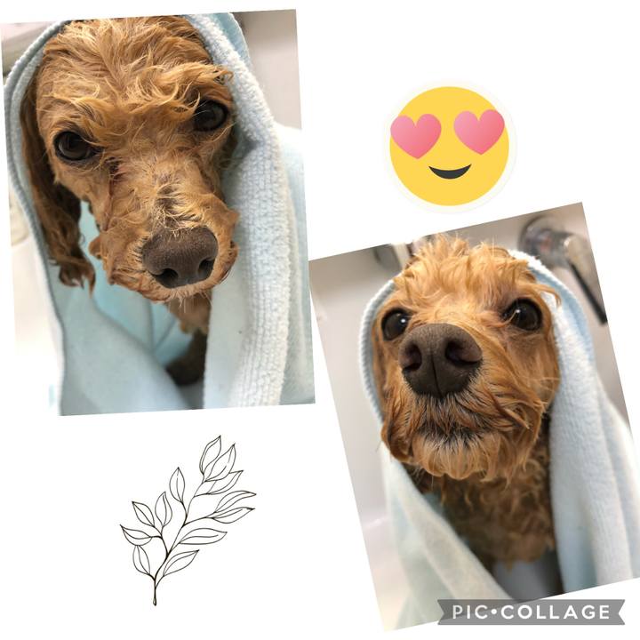 B7bd0cf8 2c5b 4e56 8f41 8d4934310951 1682262632197