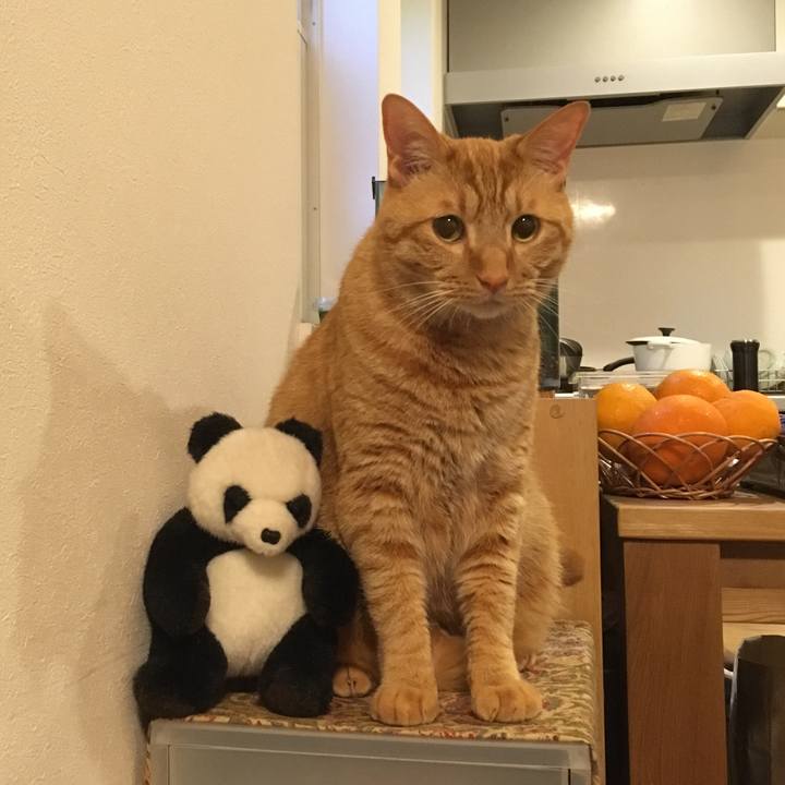 B7bd6e0a c634 41be 8316 86515a9025fa 1525730224108