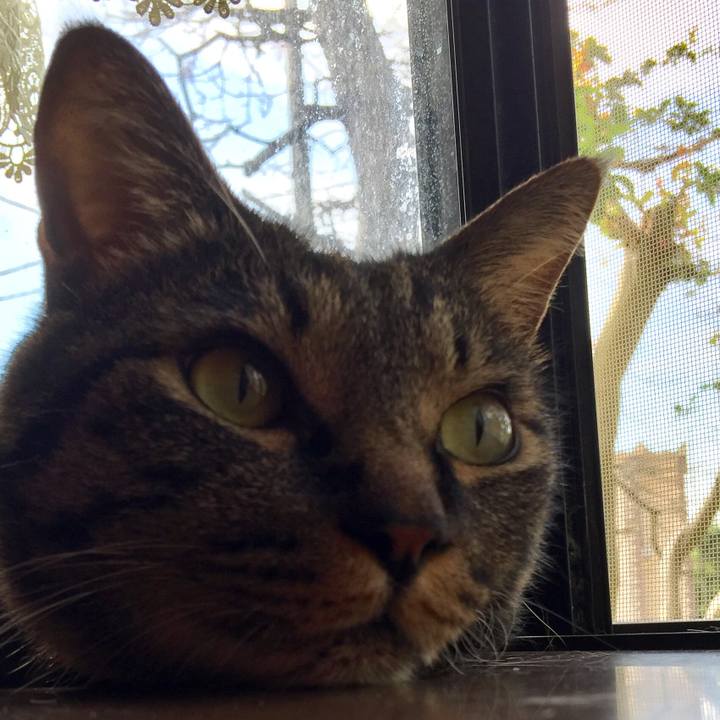 B7bd77c1 d0b9 4b8d bb3b b96270f6f017 1528155489178