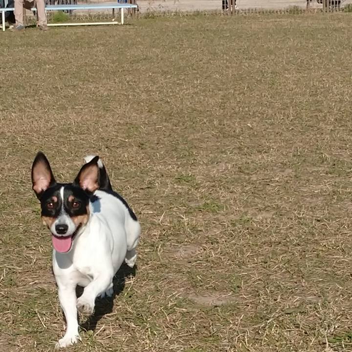 B7bd81a0 ce58 4827 8feb 5fa89a87e565 1606055460219