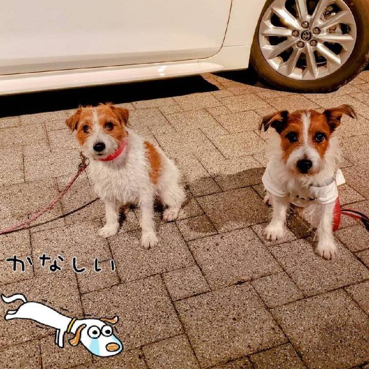 B7bdf93f 6759 465b bc5a eef7df273321 1667056069874