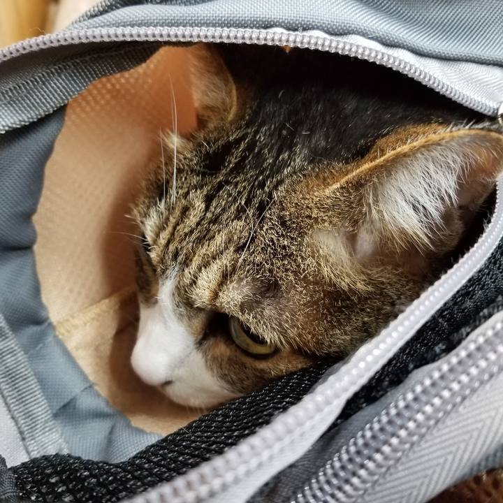 B7bdfdf7 0ba9 4260 b376 4987a791508d 1596443767719