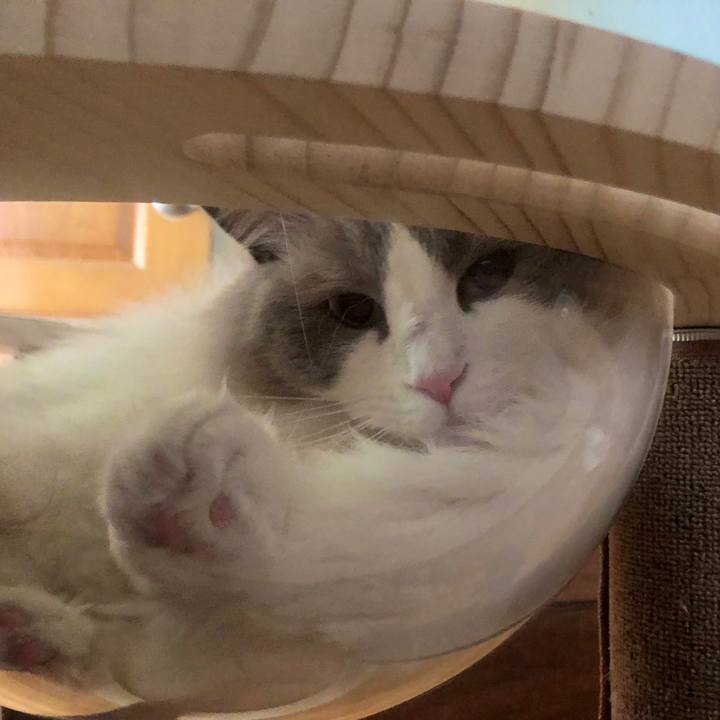 B7be59ce e68c 4b31 80b3 edd4213424da 1623128725528