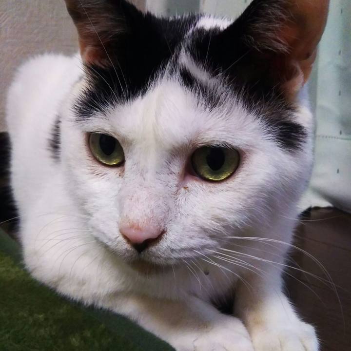 B7be78be 3600 47f5 a171 f73a793b5560 1569500018940