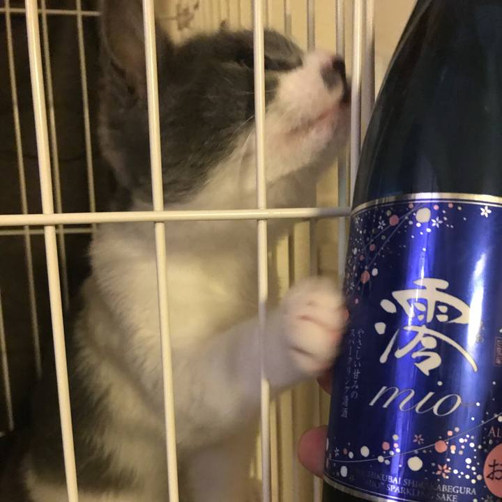 B7be8a41 2fca 4ad2 ae7d 5801d34659c8 1625226361497