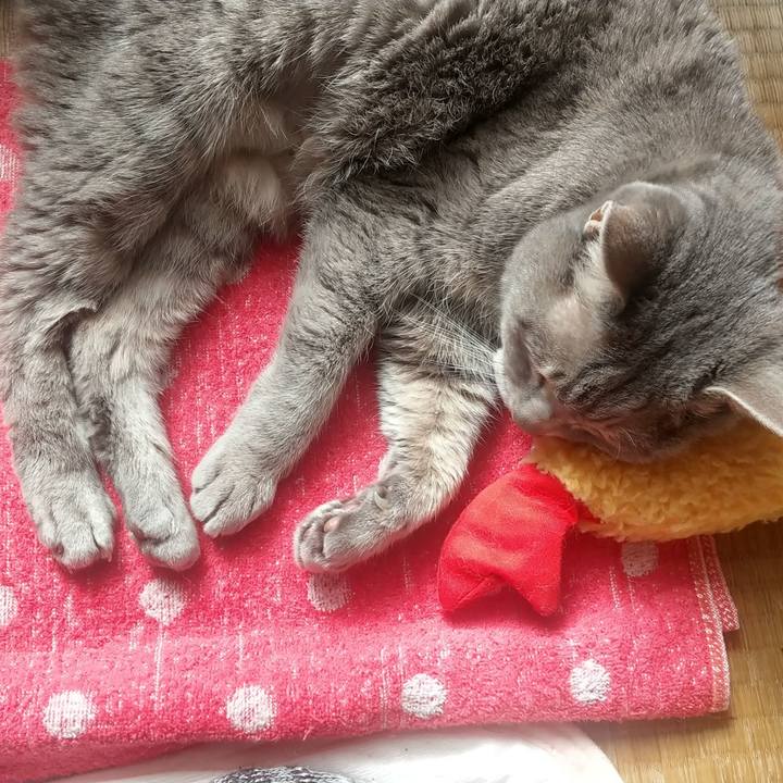 B7be934f ddc4 40f1 ba14 57a5615fafd2 1679185976541