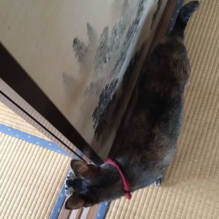 B7bec165 5378 4570 b033 2c1f8d360287 1599956192016