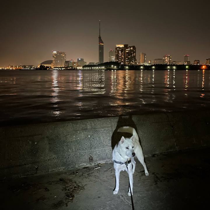 B7bef996 b16b 497e 9399 306ebc546a80 1613045575640