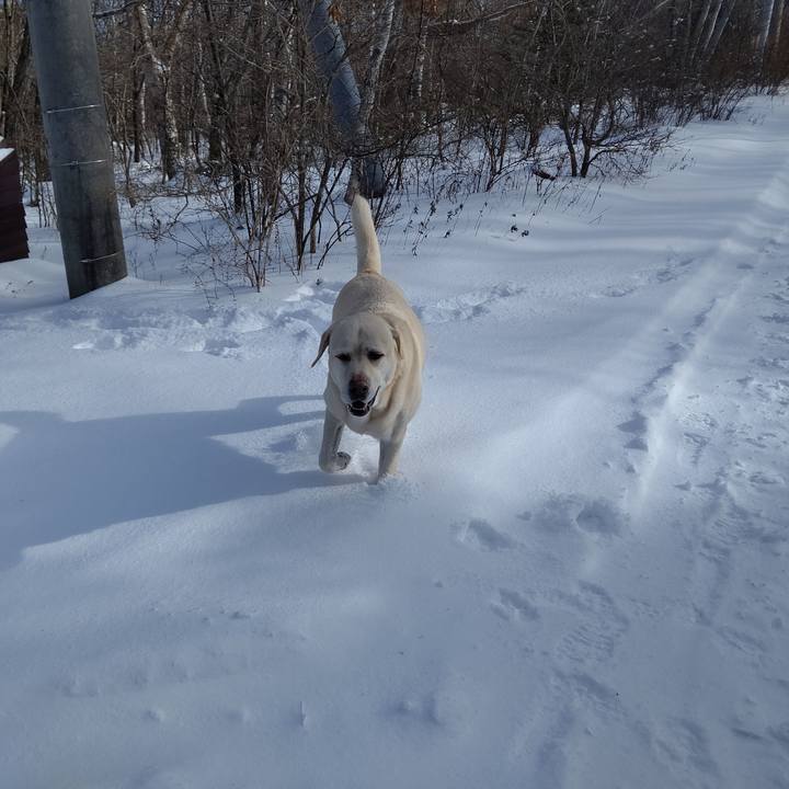 B7bf0e4e aedf 41fb ab91 bfd7284b7c18 1670994923269