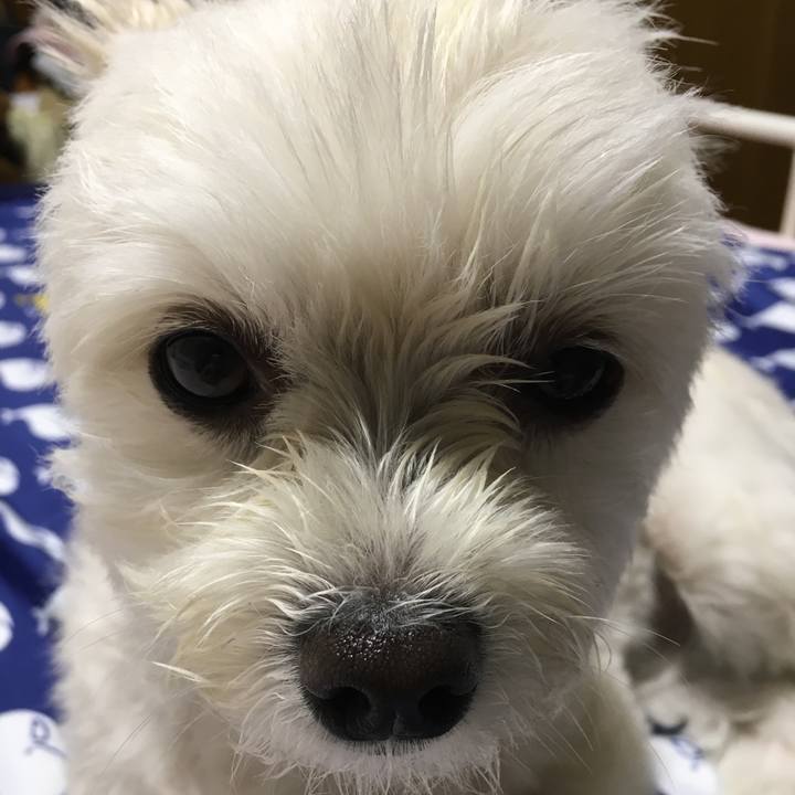 B7bf138d e1ce 4f7a 8b4f c07b2bbb6532 1562333454248