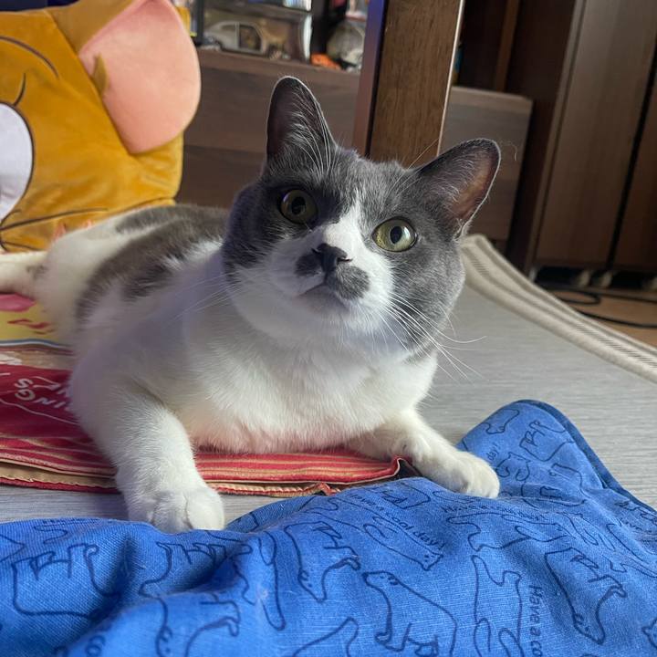 B7bf3584 86df 424d a19f c52457e22d49 1753487962800