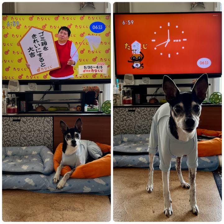 B7bf6452 fcbf 4778 9ee7 33fb6403021a 1653862611191