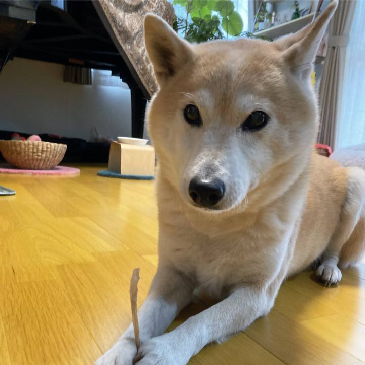 B7bf9066 cfe9 4cce 85ac 4ab08195e7df 1613572047892