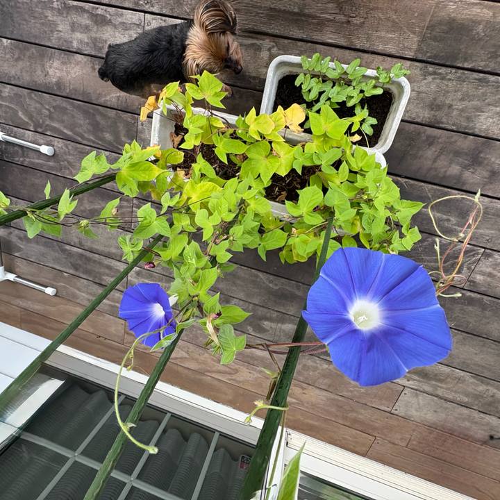 B7bfaf92 b143 4b25 b2ff df3c2b60fc17 1753220787458