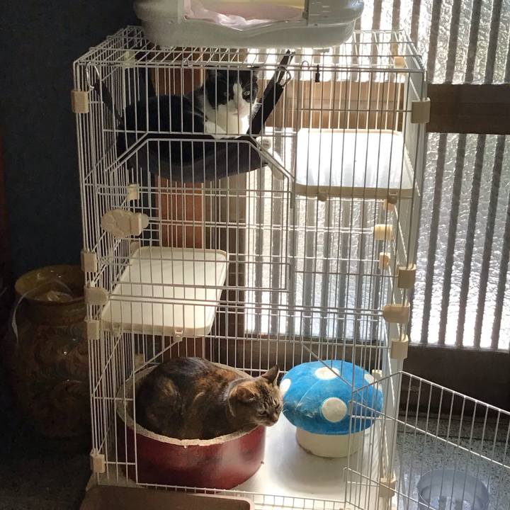 B7bfc731 77e4 486f aaaf d69efe7ea8a6 1727688771669