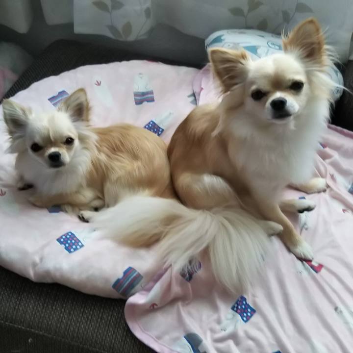 B7bfd2bc 80bd 46c2 80f7 300cc21bebf9 1565475293004