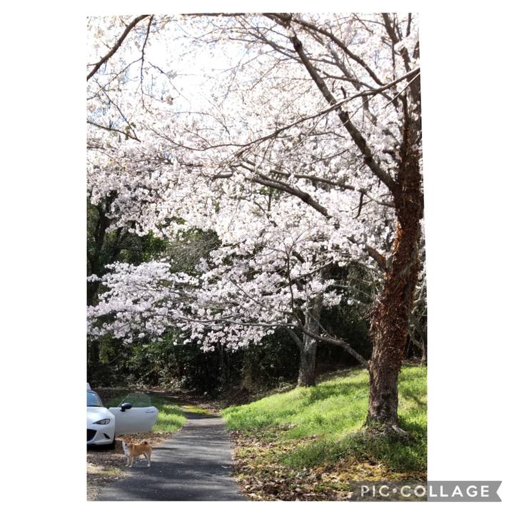 B7c03711 d14a 4e13 bf8e b400366619e8 1679970427122