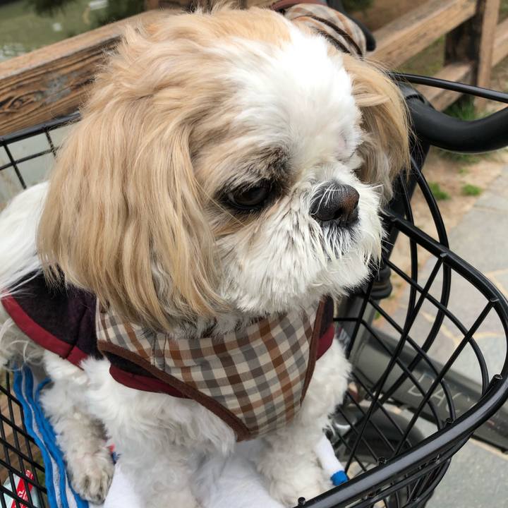 B7c0d572 7135 4536 8db7 8590f2a4887b 1552254502876