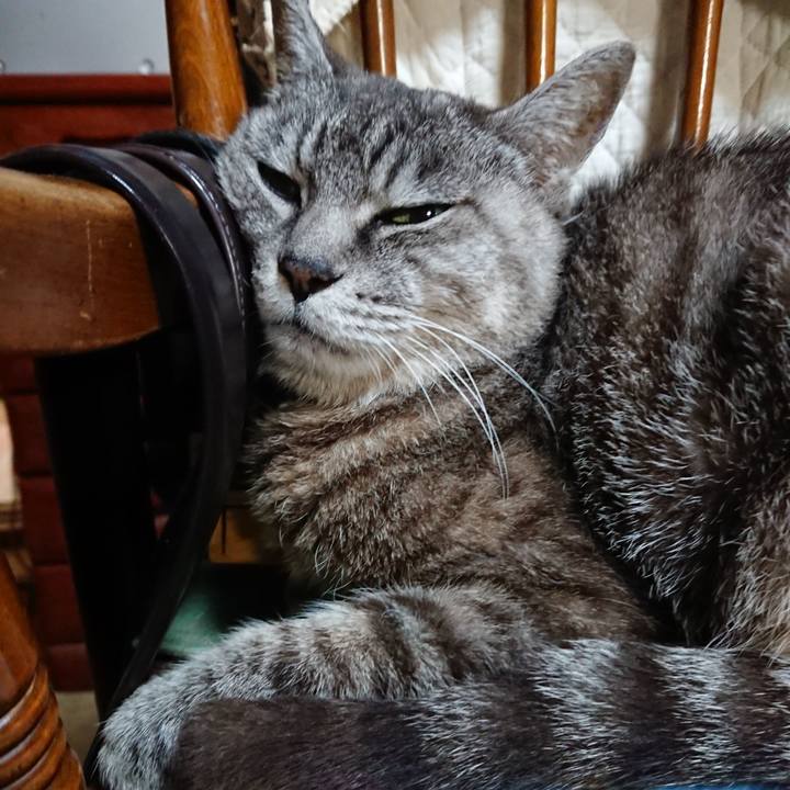 B7c0d8e8 ace1 4ae8 b749 dd6a7d7e9a4f 1569497421096