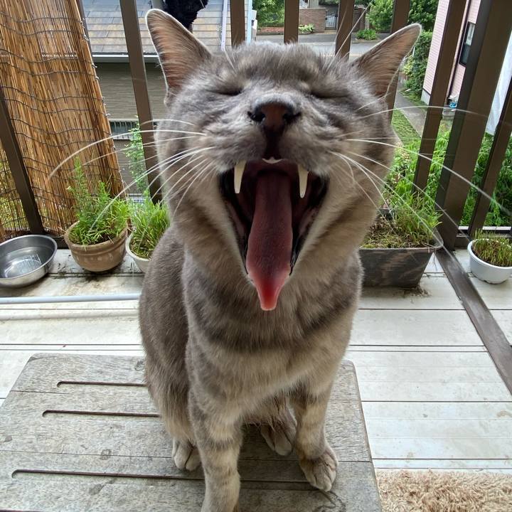 B7c0d91e 7baf 4713 a0cf 3b9652d46f48 1591246224325