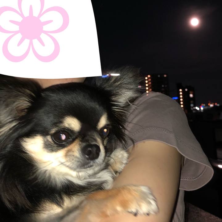 B7c106c9 d3bb 494b b748 76d7c442a5ee 1588848931463