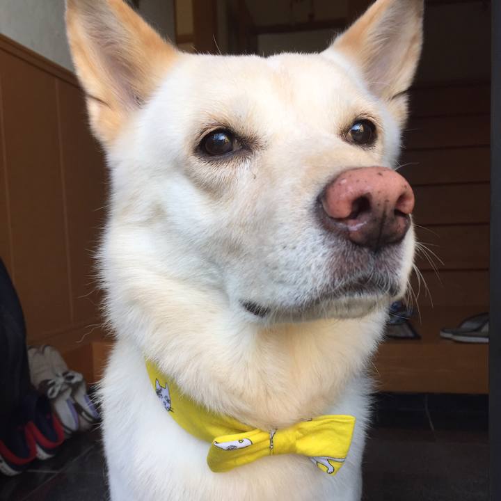 B7c10a03 d3d4 492c 990a ebebf518e846 1521640138132