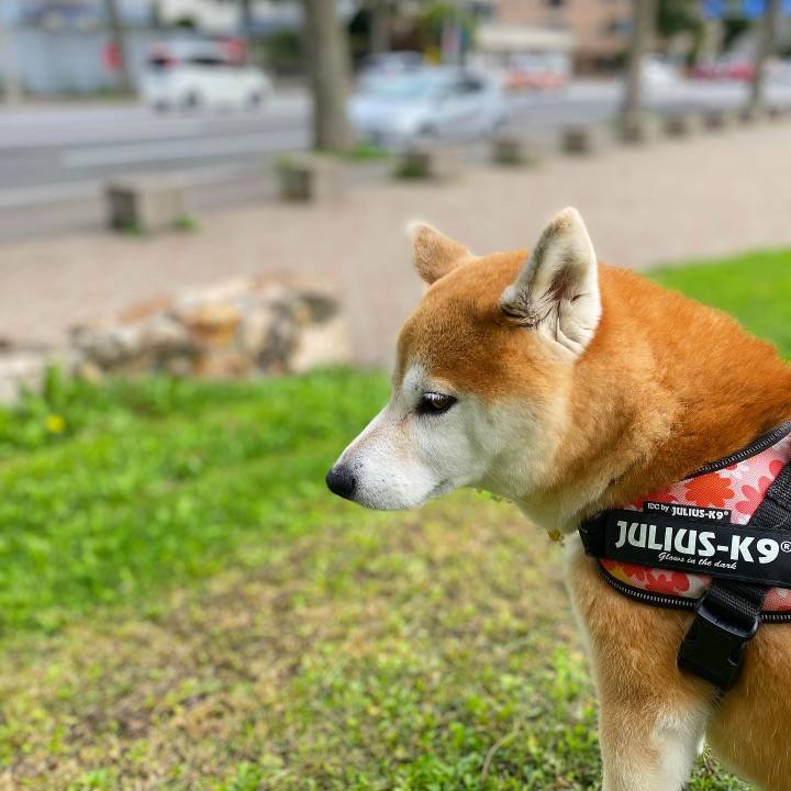 B7c16107 6b50 4287 8f09 4090a4a93442 1629939658309