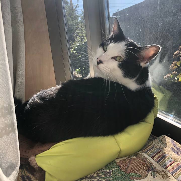 B7c1b368 2a2a 4e34 b627 855d30a13fb1 1573525065563