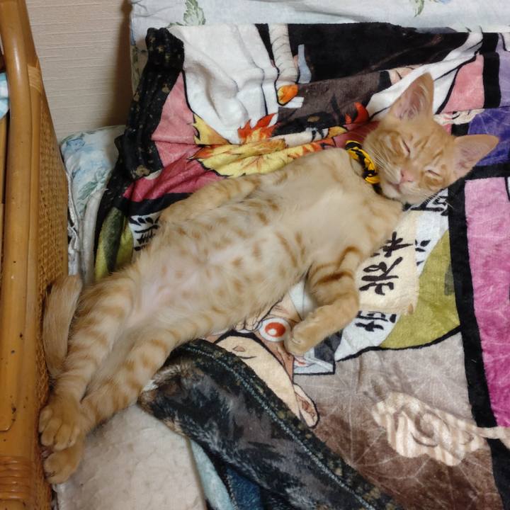 B7c2bfc2 a524 4faa 9f9f c23a18906075 1672138418107