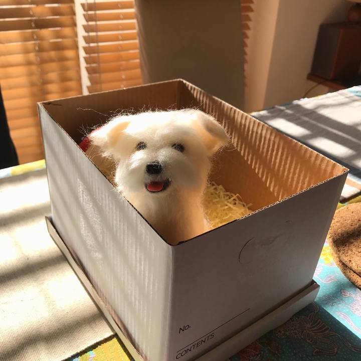 B7c2e66e 0bb9 4016 a117 89345fc5a723 1573342318844