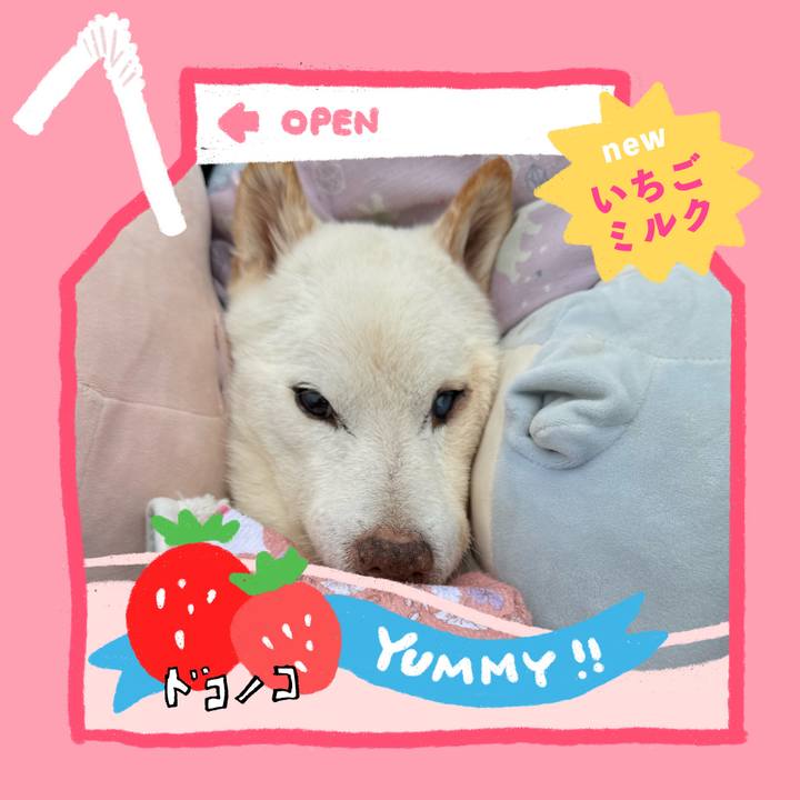 B7c3543f 04ba 4feb 86ac 575b406ee9ea 1711121782424