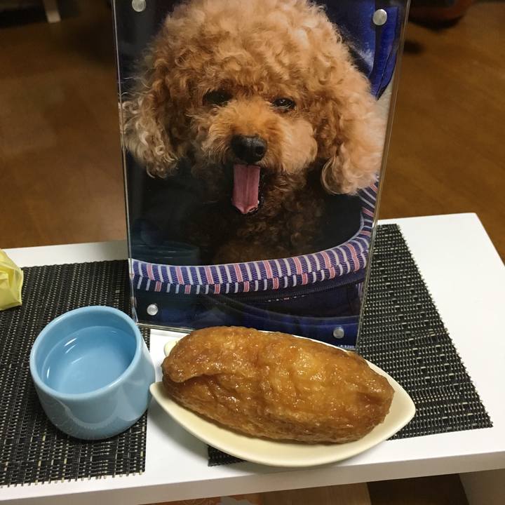 B7c36ed8 e524 46dc 8a4a a8385f8f54d9 1539946304474