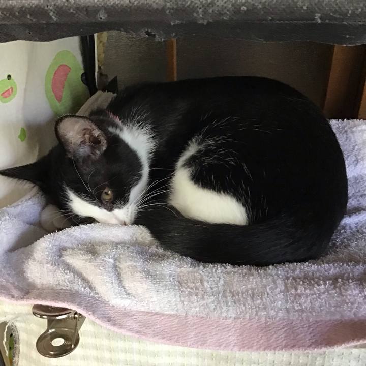 B7c3767b f5f1 4179 b207 0a3a4268f9c3 1627108984277