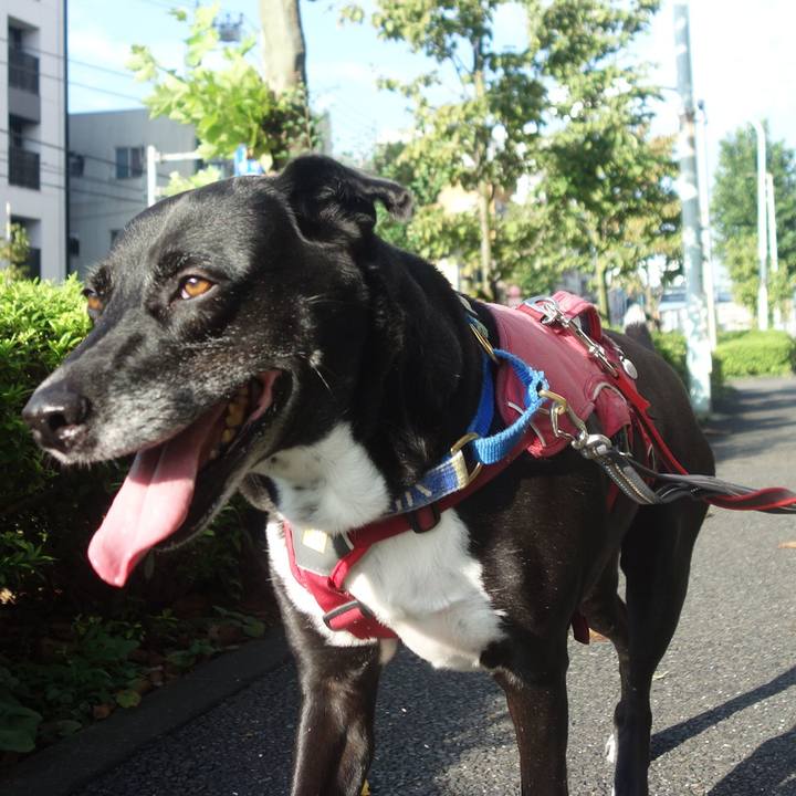 B7c38298 c6f6 4558 bdde daa149be3d57 1694305603233