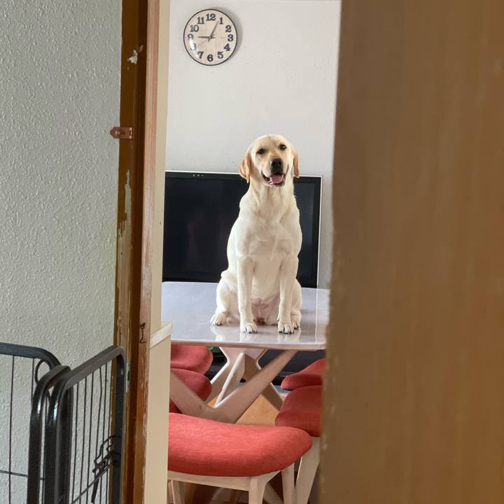 B7c3935b 356c 4563 9511 5acfdd0ebec6 1659322271137